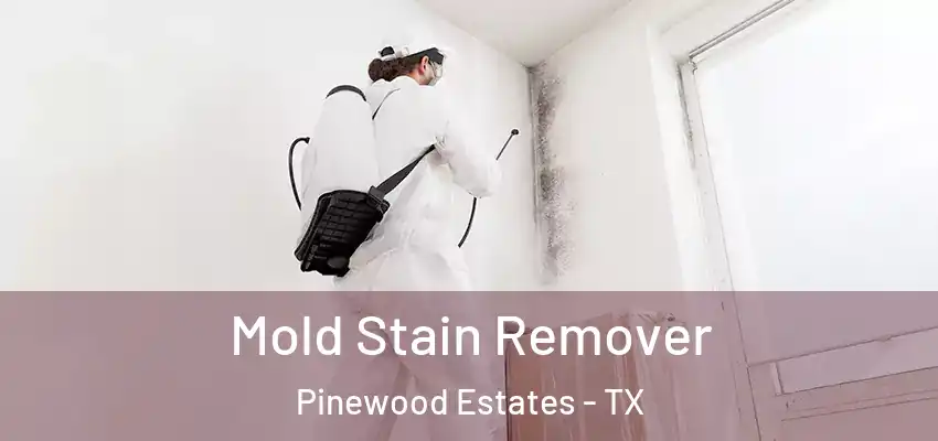  Mold Stain Remover Pinewood Estates - TX