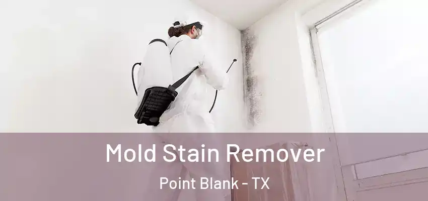  Mold Stain Remover Point Blank - TX
