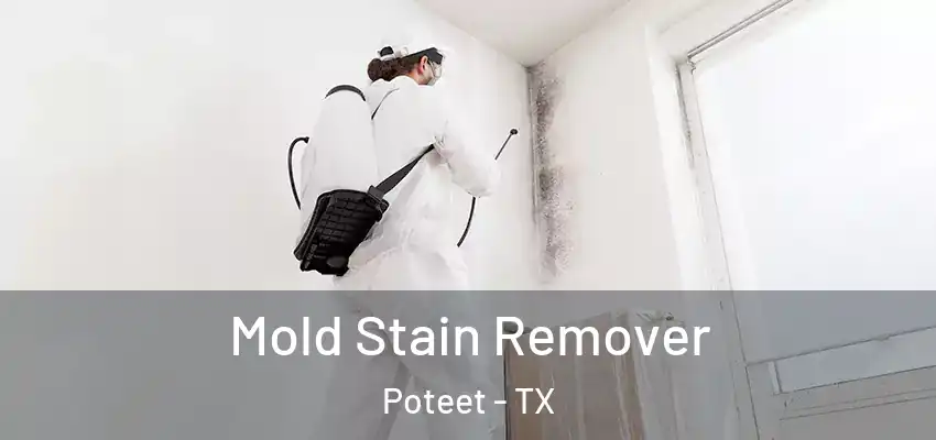  Mold Stain Remover Poteet - TX