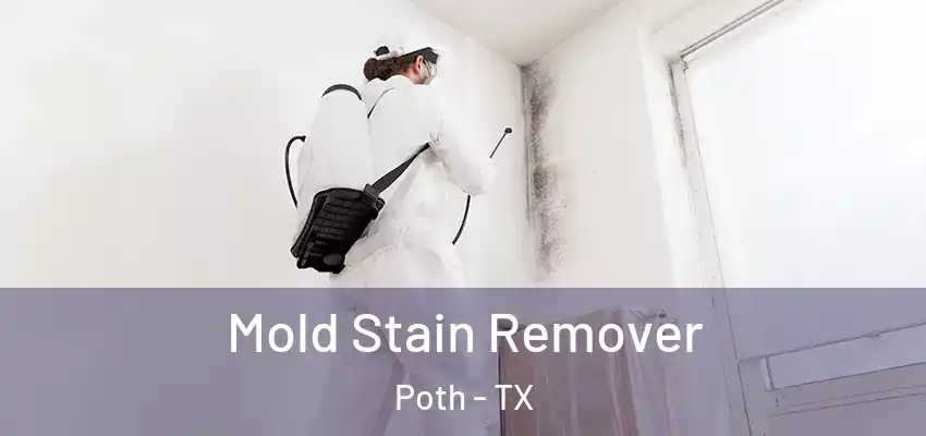  Mold Stain Remover Poth - TX