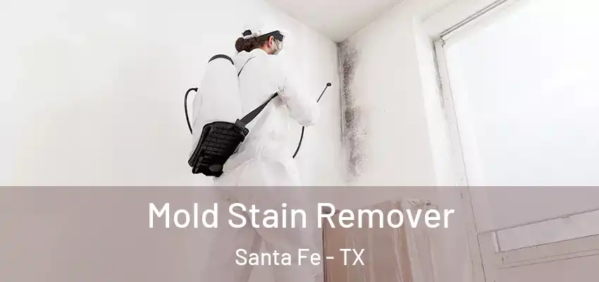  Mold Stain Remover Santa Fe - TX
