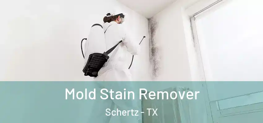 Mold Stain Remover Schertz - TX