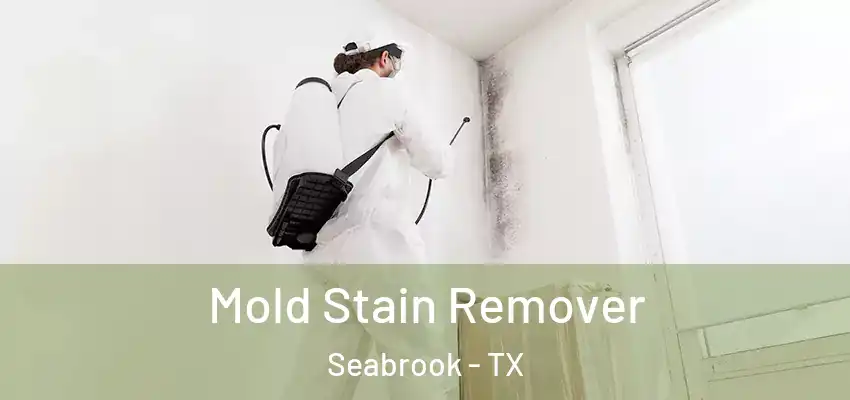  Mold Stain Remover Seabrook - TX