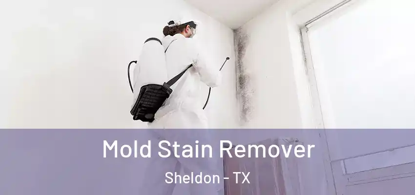  Mold Stain Remover Sheldon - TX