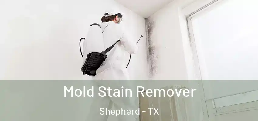  Mold Stain Remover Shepherd - TX