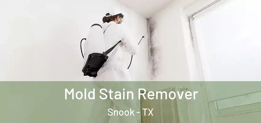  Mold Stain Remover Snook - TX