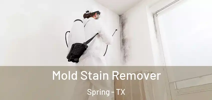  Mold Stain Remover Spring - TX