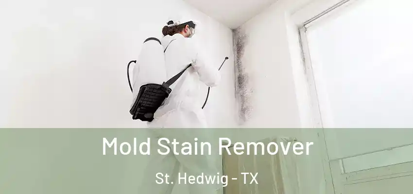  Mold Stain Remover St. Hedwig - TX