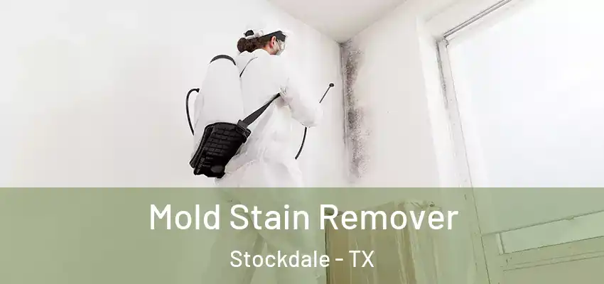  Mold Stain Remover Stockdale - TX