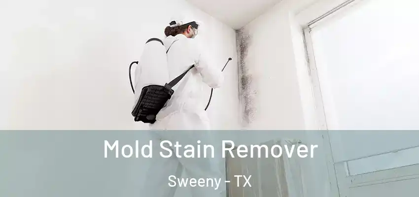  Mold Stain Remover Sweeny - TX
