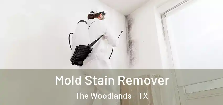  Mold Stain Remover The Woodlands - TX