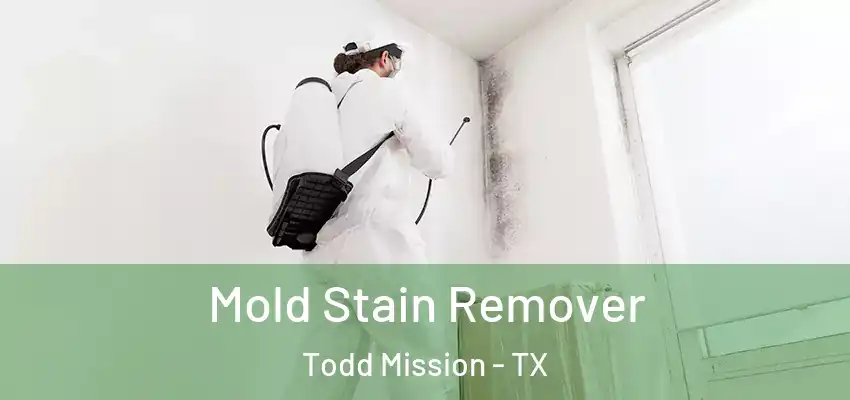  Mold Stain Remover Todd Mission - TX