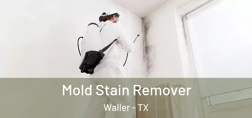  Mold Stain Remover Waller - TX