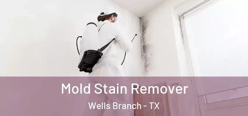  Mold Stain Remover Wells Branch - TX