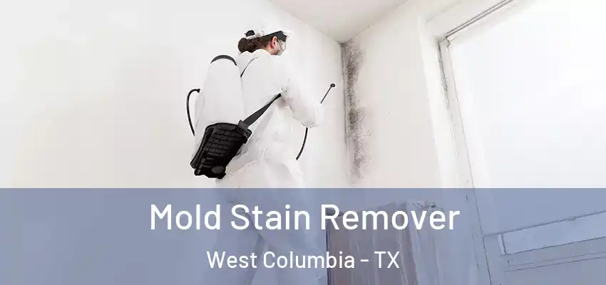  Mold Stain Remover West Columbia - TX