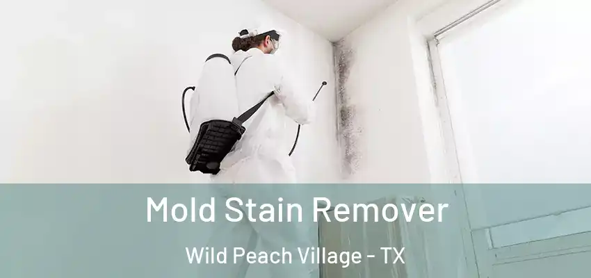  Mold Stain Remover Wild Peach Village - TX