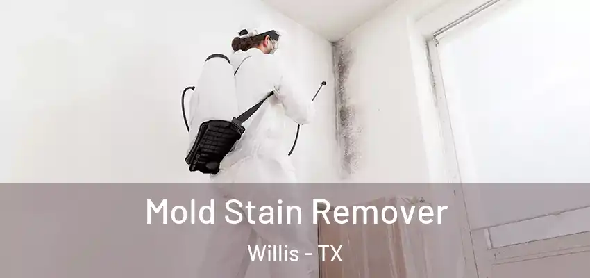  Mold Stain Remover Willis - TX