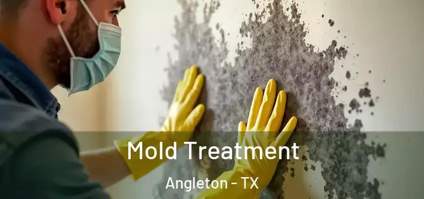  Mold Treatment Angleton - TX