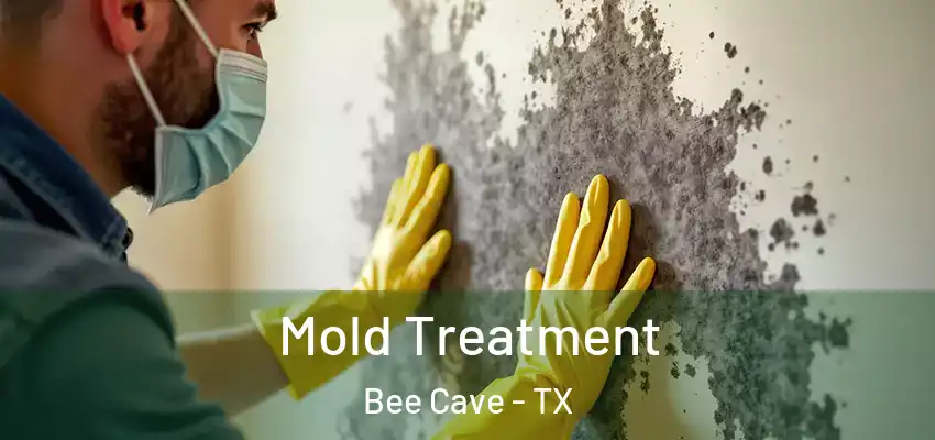  Mold Treatment Bee Cave - TX
