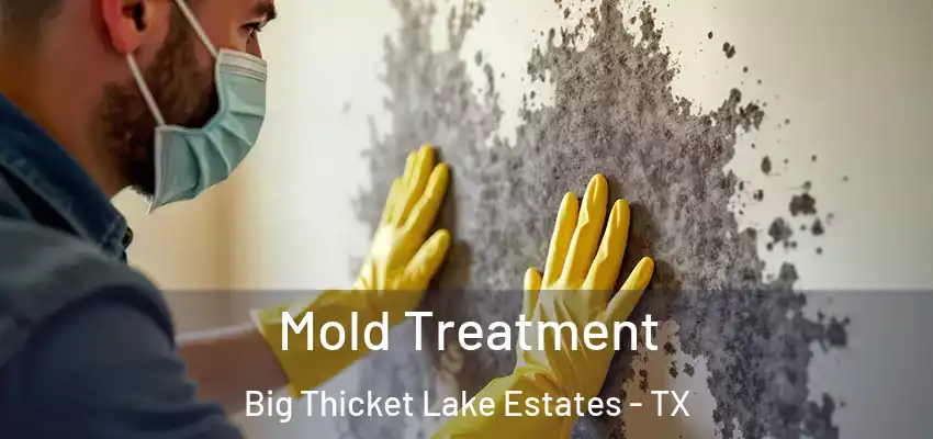  Mold Treatment Big Thicket Lake Estates - TX