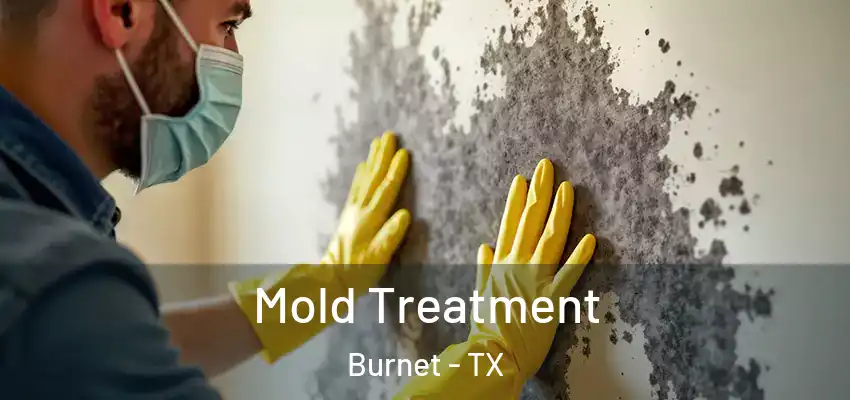  Mold Treatment Burnet - TX