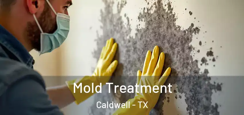  Mold Treatment Caldwell - TX