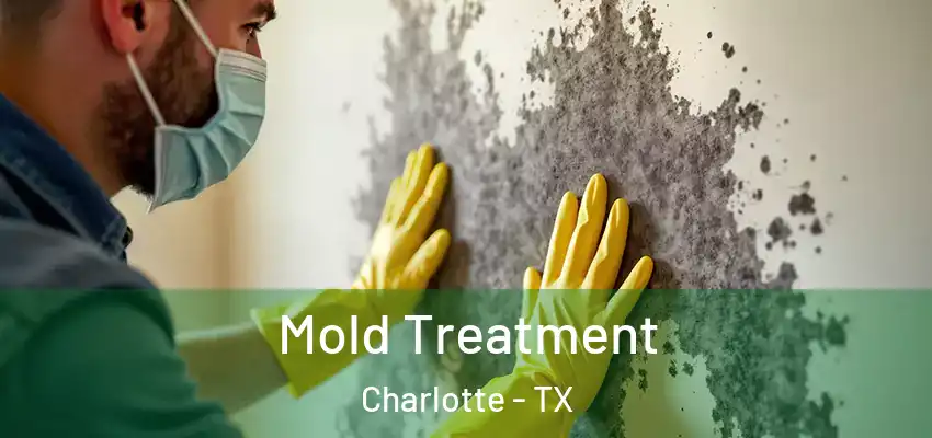  Mold Treatment Charlotte - TX