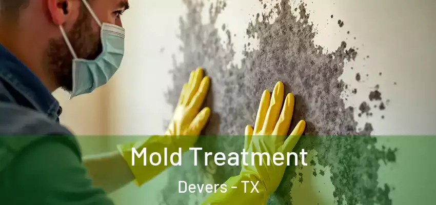  Mold Treatment Devers - TX