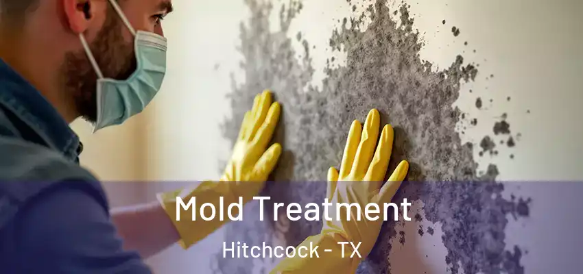  Mold Treatment Hitchcock - TX