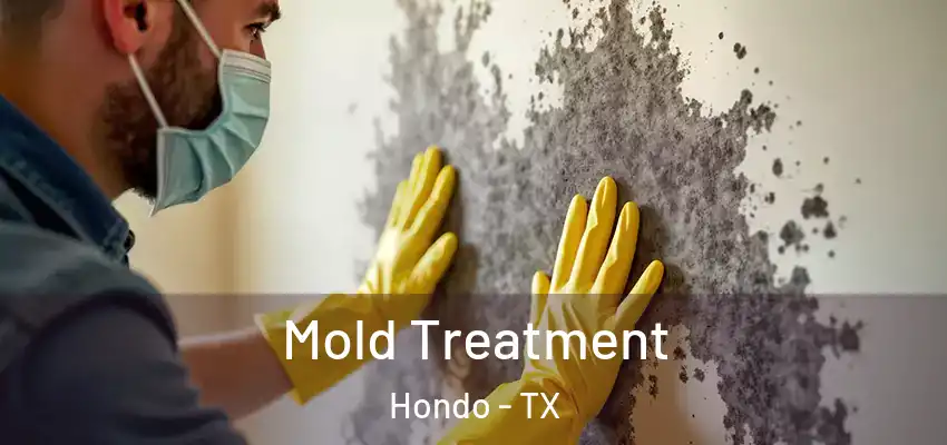  Mold Treatment Hondo - TX