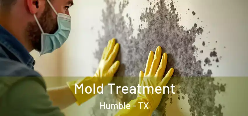  Mold Treatment Humble - TX