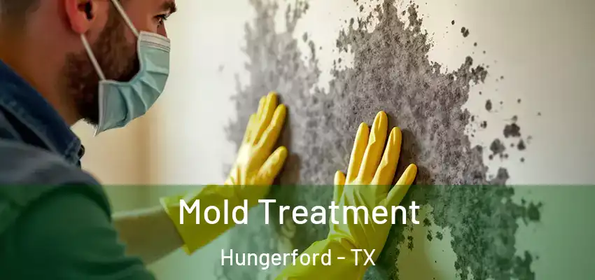  Mold Treatment Hungerford - TX