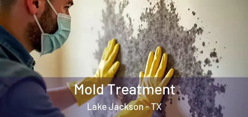  Mold Treatment Lake Jackson - TX