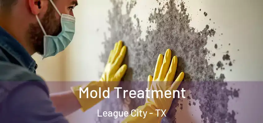  Mold Treatment League City - TX