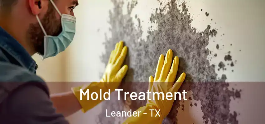  Mold Treatment Leander - TX