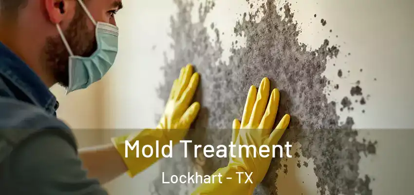  Mold Treatment Lockhart - TX