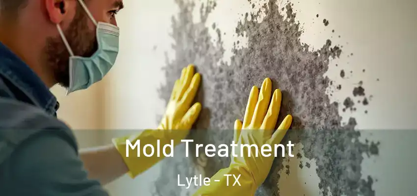  Mold Treatment Lytle - TX