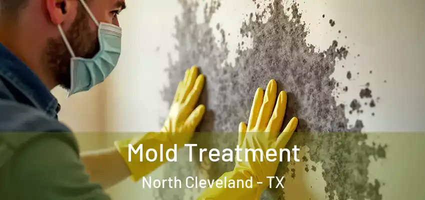  Mold Treatment North Cleveland - TX
