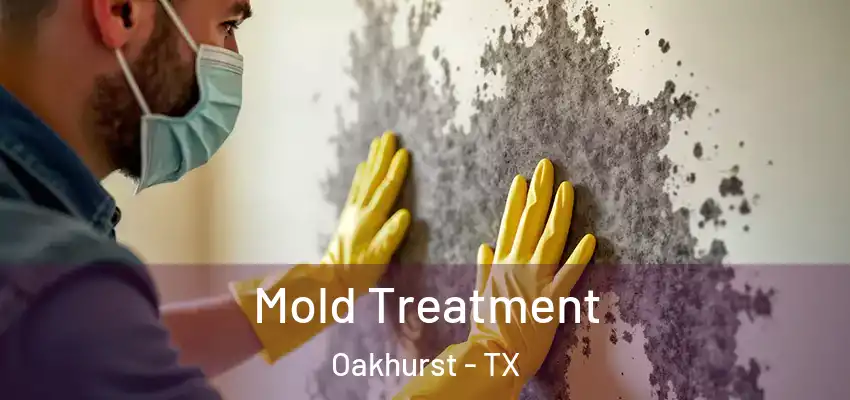  Mold Treatment Oakhurst - TX