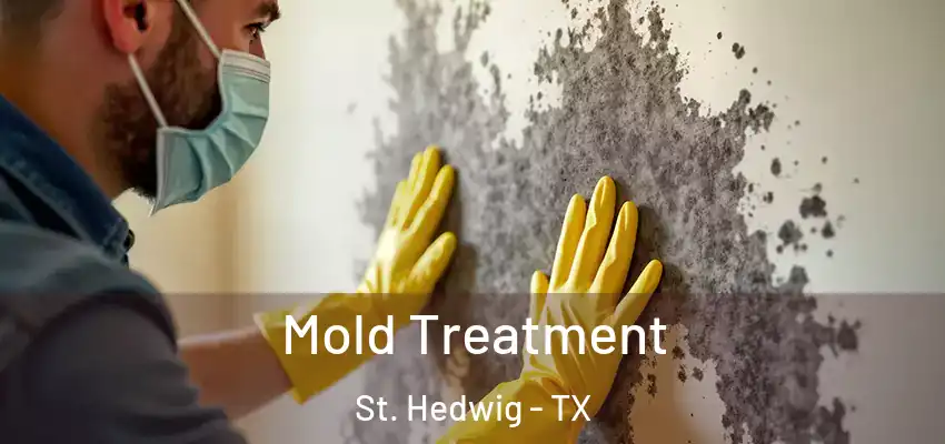  Mold Treatment St. Hedwig - TX