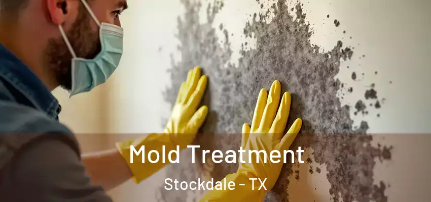  Mold Treatment Stockdale - TX