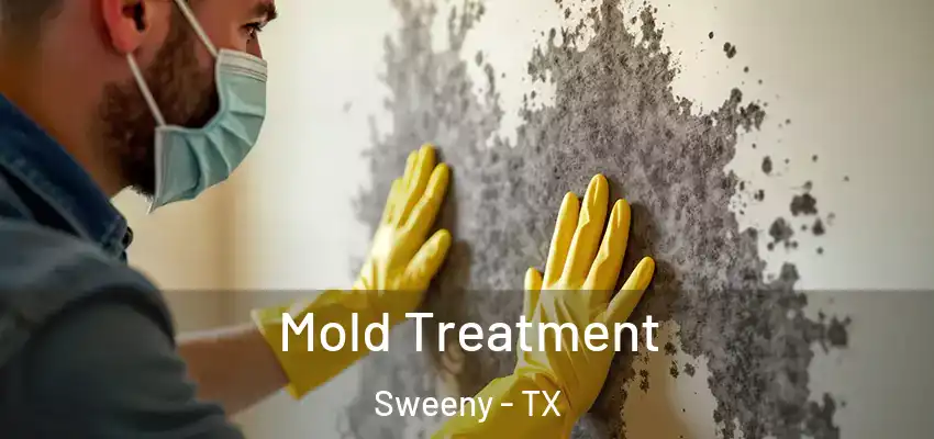  Mold Treatment Sweeny - TX