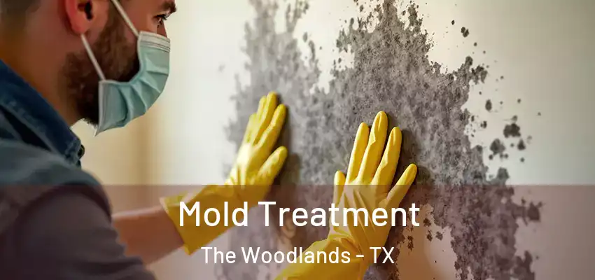 Mold Treatment The Woodlands - TX