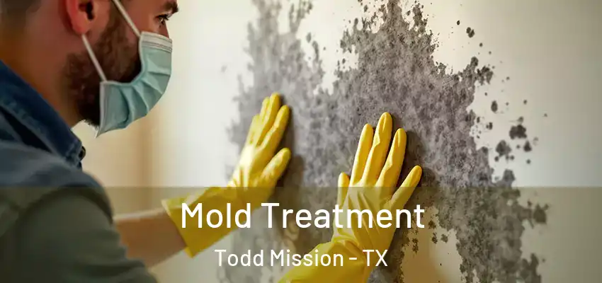  Mold Treatment Todd Mission - TX