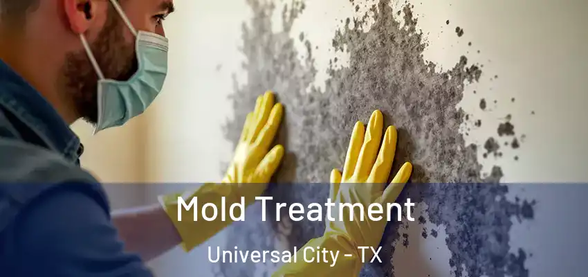  Mold Treatment Universal City - TX