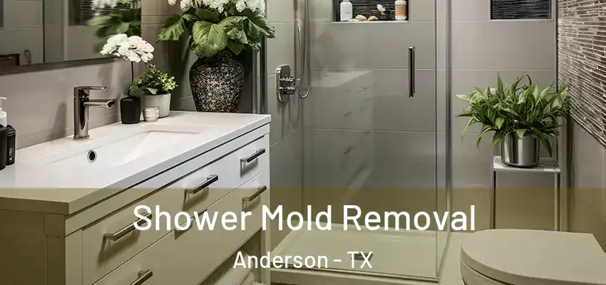  Shower Mold Removal Anderson - TX