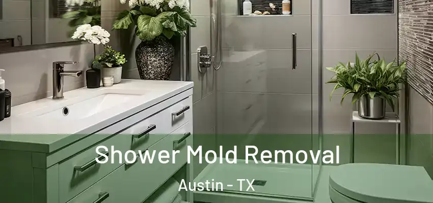  Shower Mold Removal Austin - TX
