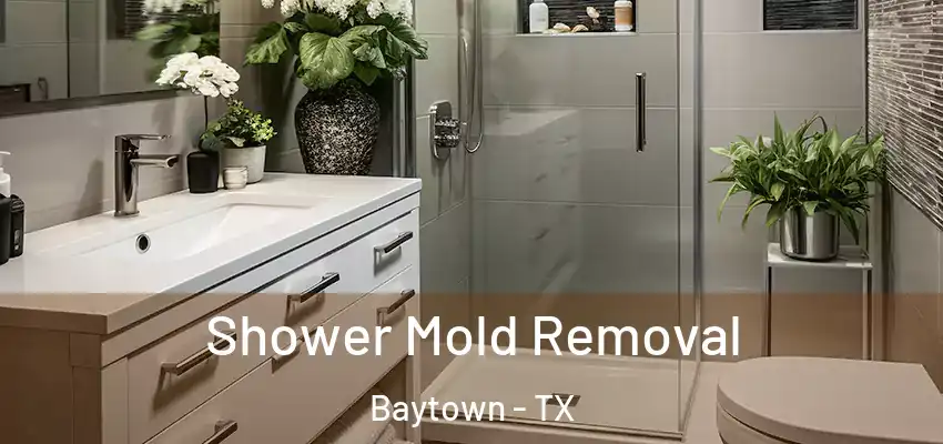  Shower Mold Removal Baytown - TX