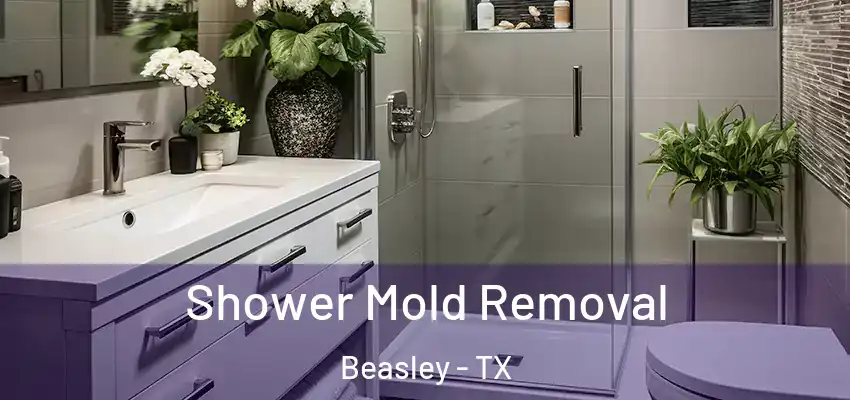  Shower Mold Removal Beasley - TX