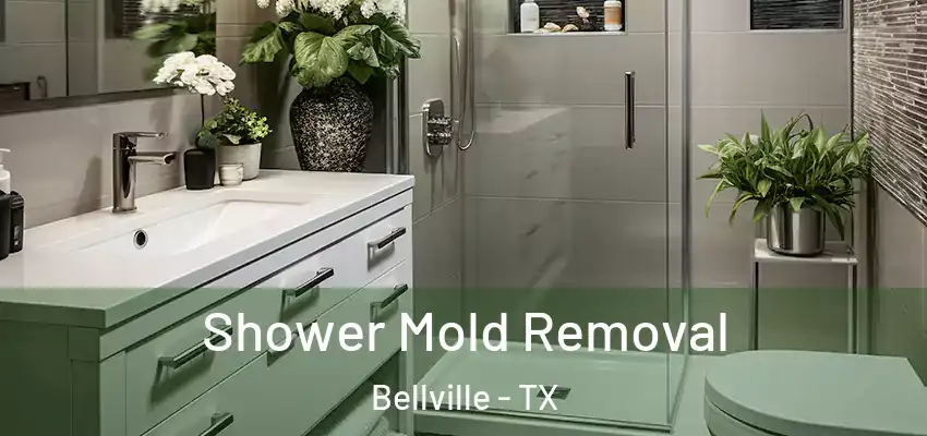  Shower Mold Removal Bellville - TX